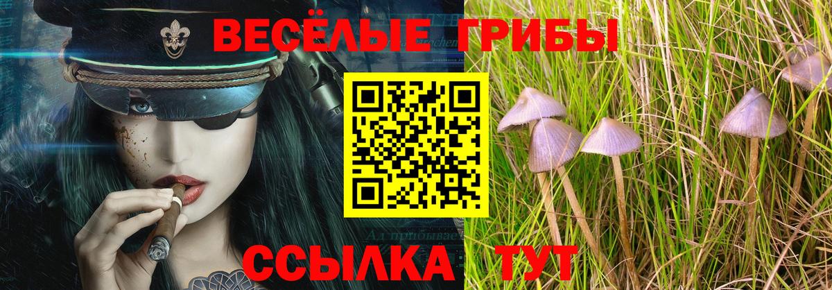 где купить наркоту  Псилоцибиновые грибы MAGIC MUSHROOMS  Псилоцибиновые грибы мухоморы  Вход с VPN  Торжок 